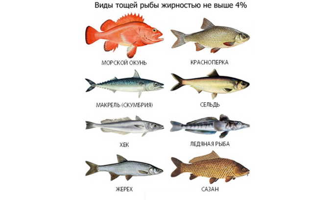 Риба при панкреатиті: яку можна (сорти), рецепти, солона, запечена, суфле, варена, котлети, сушена
