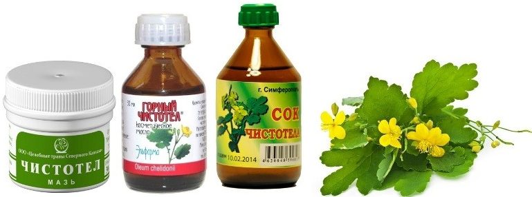 Які шкірні захворювання лікує чистотіл?