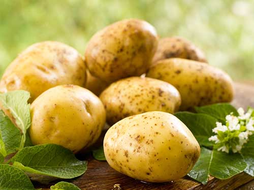 Застосування картоплі при лікуванні прищів