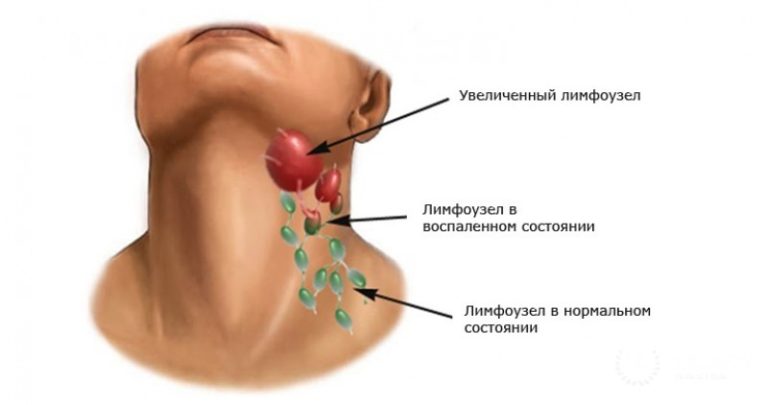 Доктор Ирина Стефански